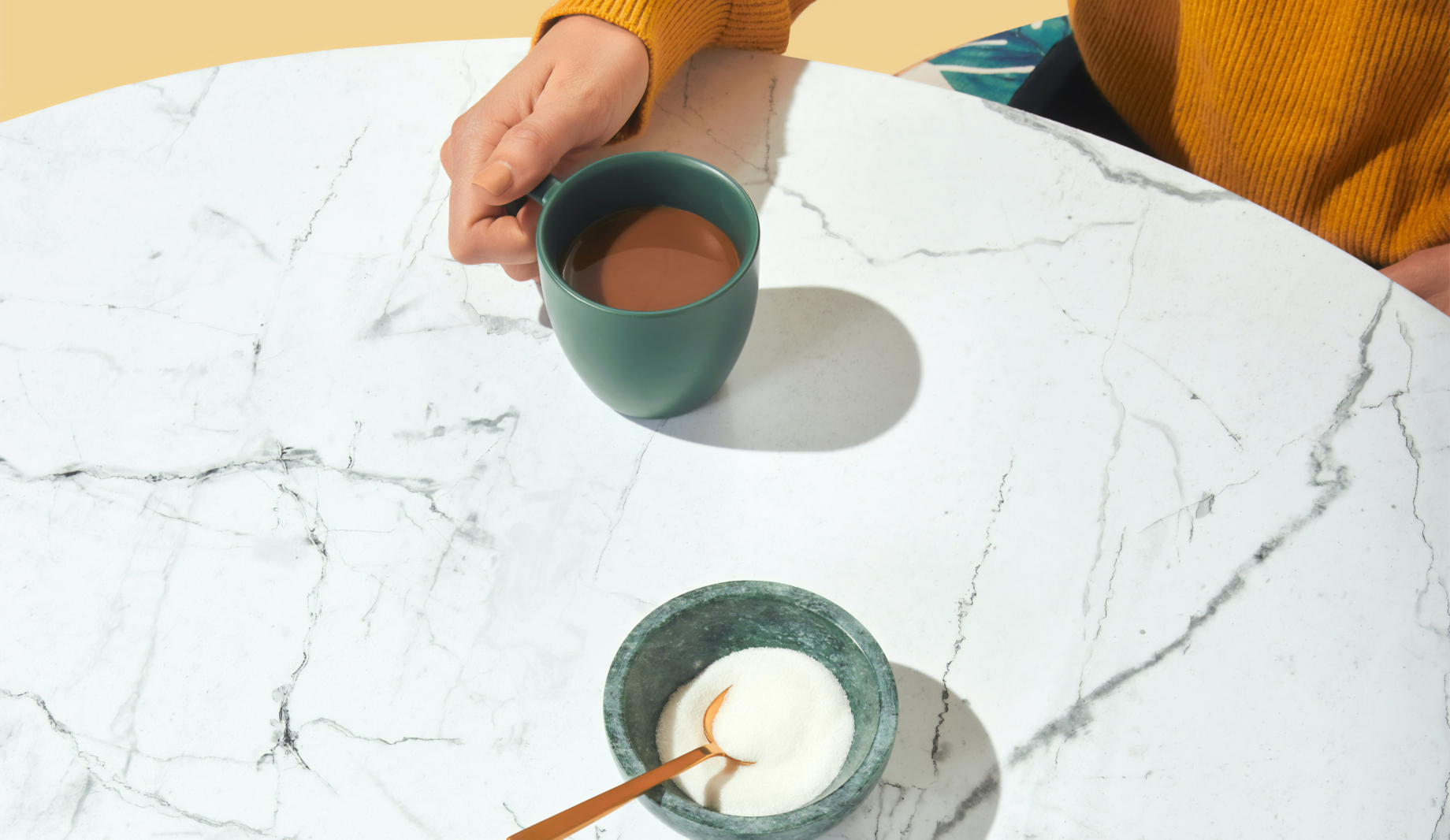 Dorei Cat Hotel - Interior